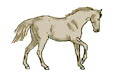 Contacts the Arabian Horse Ranch Page Contacts the Arabian Horse Ranch Page